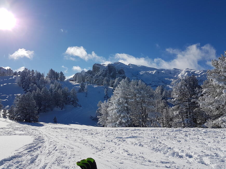 En haut de Barlagne En haut de Barlagne