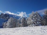 vers la Pierre vers la Pierre